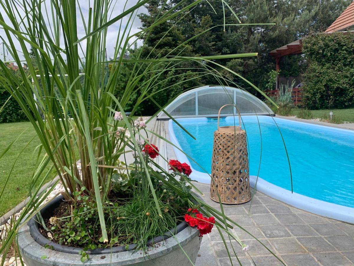 Pool & Lake Holiday Home Markkleeberg Bagian luar foto